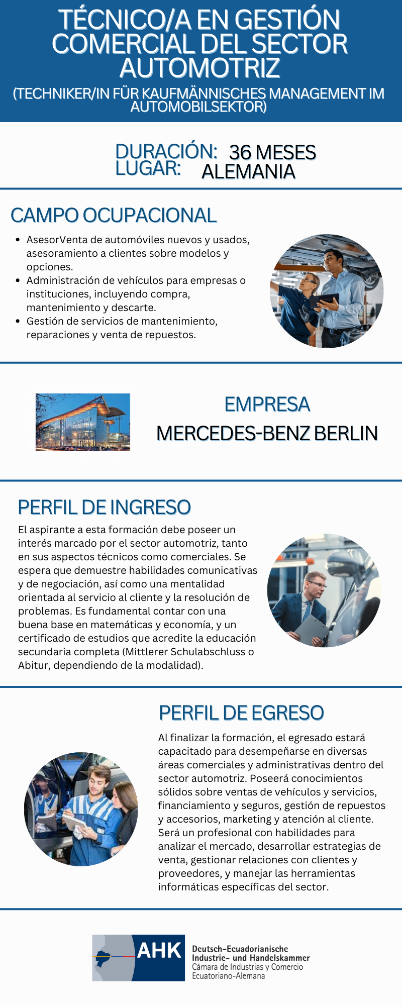 Técnico/a en Gestión Comercial del Sector Automotriz