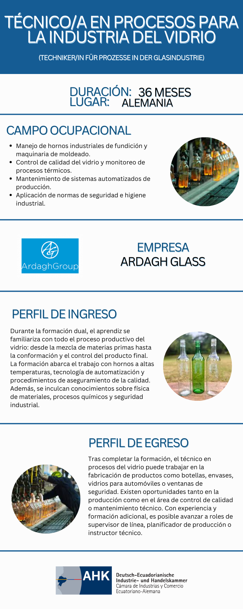 Técnico/a en procesos para la industria del vidrio